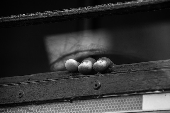 bus fingers