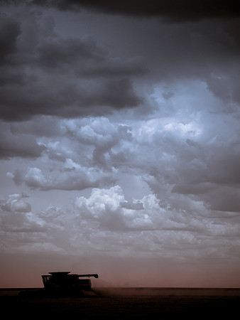 NM evening-2