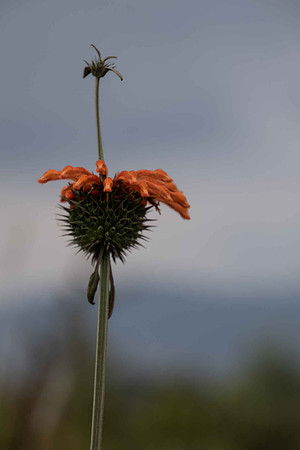 KC9A1509