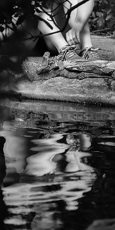 water's edge